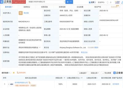 東華軟件于新疆新設(shè)子公司,注冊(cè)資本3億元